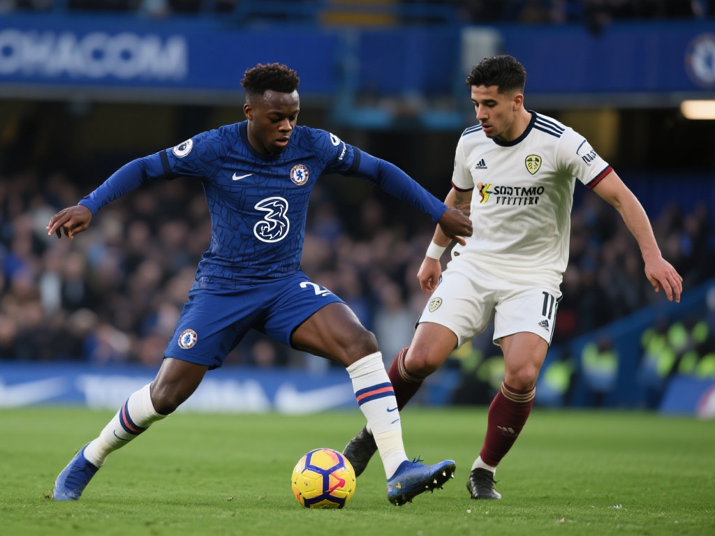 队内主力后 队内主力后